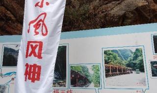 自驾游公司 自驾游公司