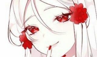 陪你月落与星沉